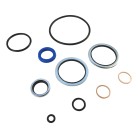 Seal kit for Chapel Hydraulik hand pump P20/SE – top view showing various black rubber seals and a blue rubber ring.