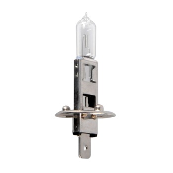 Autolampe – Seitenansicht mit klarer Glühbirne und silbernem P14,5s Sockel, 12V 55W.