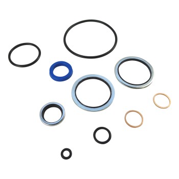 Seal kit for Chapel Hydraulik hand pump P20/SE – top view showing various black rubber seals and a blue rubber ring.
