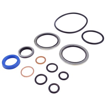 Vista dall'alto – kit di guarnizioni per pompa manuale idraulica Chapel P16D1 con o-ring neri e blu di diverse dimensioni.