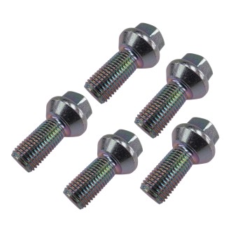 Zilveren IFOR Williams wielbout M14 – hexagonale kop en schroefdraad – set van 5 stuks op witte achtergrond.
