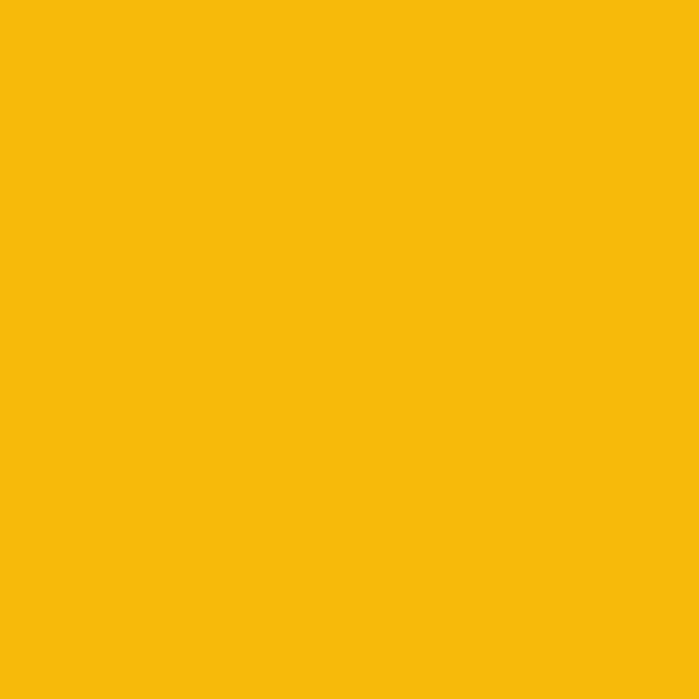 Couleur RAL 1003 jaune de sécurité