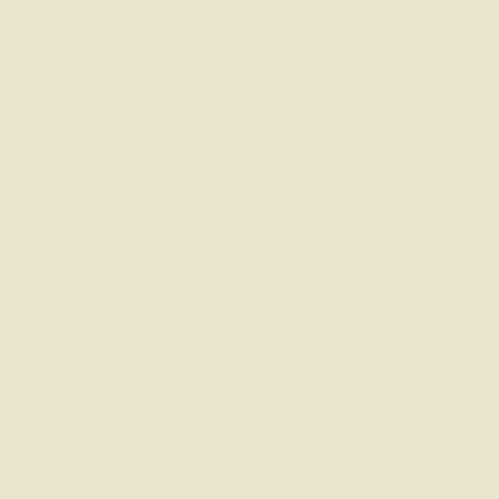 Couleur RAL 1013 blanc perle