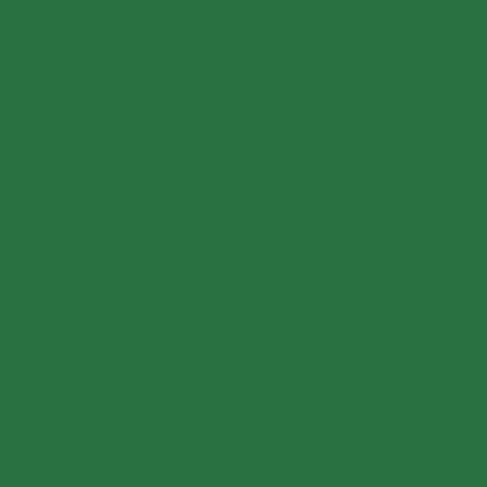 Farbe RAL 6001 smaragdgr&uuml;n