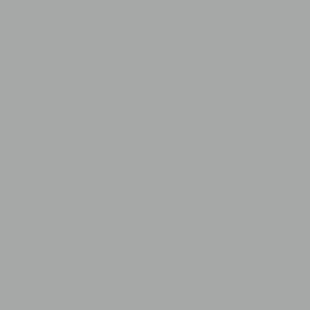 couleur RAL 9006 argent