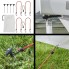 Vista frontale della tenda anteriore – tessuto a rete verde e bianco con cavo, picchetti e corda di tensione regolabile.