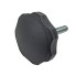 Star grip screw M10 x 30mm – front view showing octagonal black base and silver threaded bolt.