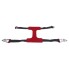 Sangle système de fixation TYREFIX® BASIC pour moto – sangle rouge avec crochets métalliques et design en H sur fond blanc.